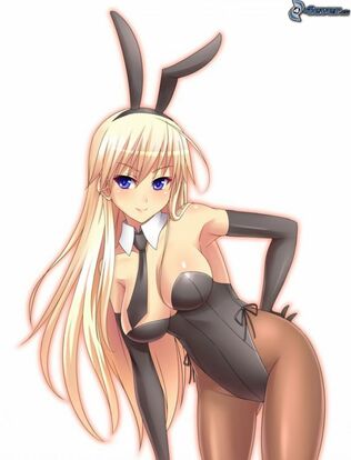 sexy bunny girl anime
